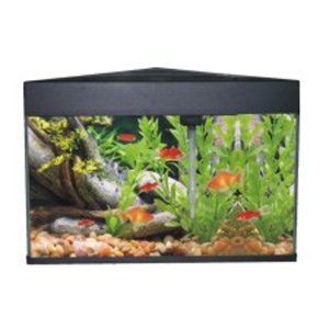 Burgham AA6606 Kit d'aquarium Triangle aqua-fit en noir (13 gallons)