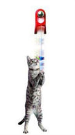 JW Pet Company Spring String Cat Toy