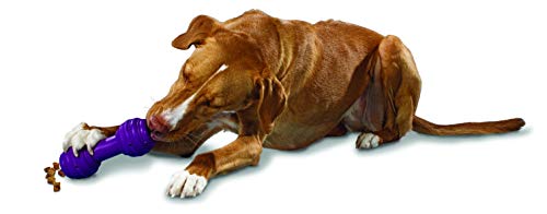 PetSafe Busy Buddy Chuckle Dog Toy