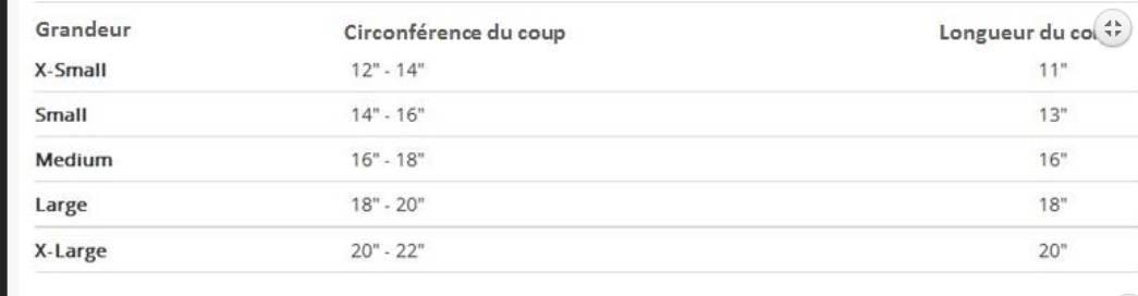 KA00061 T-Shirt pour Chien aux Couleurs des Canadiens - NHL Pet