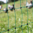 Poulnet for Poultry