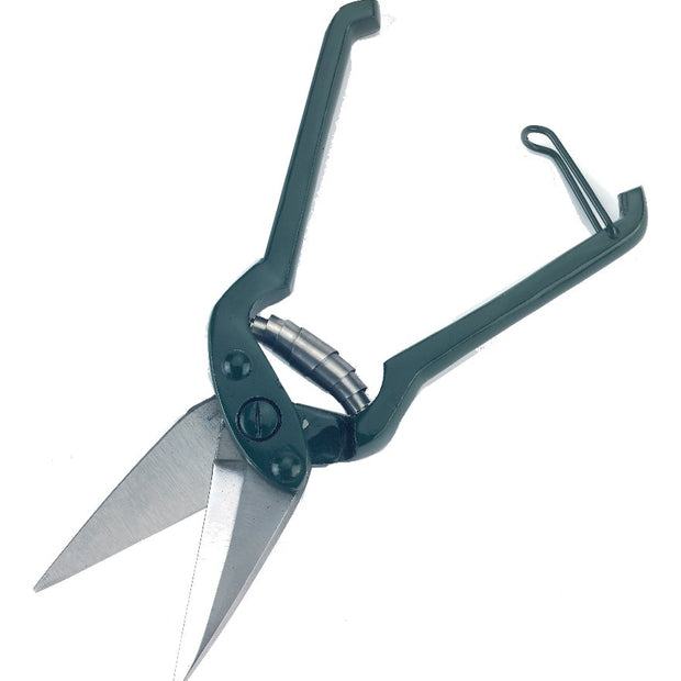 Foot Rot Shears - Regular Blade