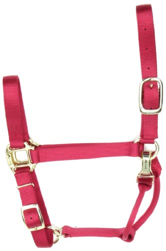 Accent 1-Inch Wide Deluxe Halter for Average Horses, 900 to 1300-Pound, Red