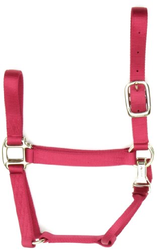 Accent Coastalpet 1 pouce Couleur solide Halter de cheval premium avec Equi-Snap