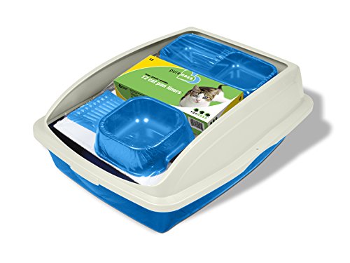 Van Ness Cat Starter Kit, couleurs assorties