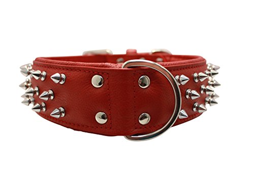 Spiked Studded Leather Dog Collar, Wide, Padded, Double-Ply, 26" x 2", Red. Stainless Steel (Amsterdam) Rottweiler, Cane Corso. Necks: 20" - 24"