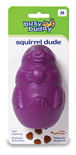 Busy Buddy Squirrel Dude Size:medium Packs:pack Of 1