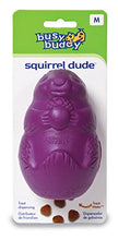Busy Buddy Squirrel Dude Size:medium Packs:pack Of 1