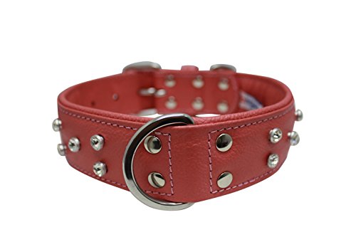 Collier de chien en cuir bling bling, large, rembourré, double pli et riveté, 26 