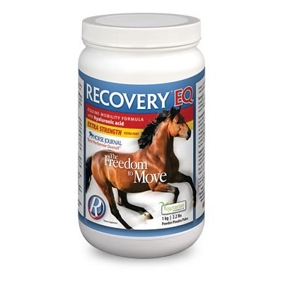 Purica 556-010 Recovery Eq Strength Strength Powder 1kg