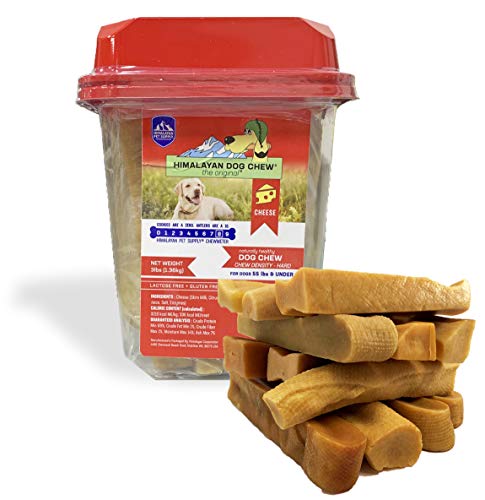 Chien de l'Himalaya mâcher