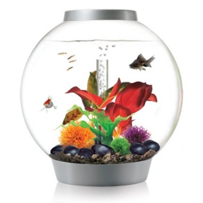 Reef One biOrb Aquarium