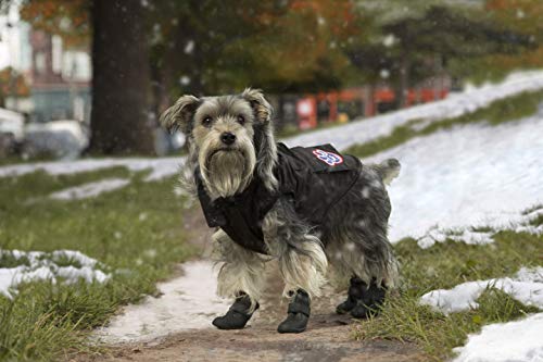 Canada Pooch Everest Explorer Jacket, Black, Size 24