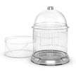 Bio Bubble Bird Terra Kit