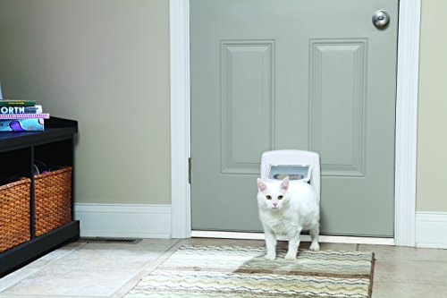 PetSafe à 4 voies Verging Vergage de chat
