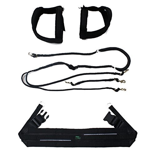 Canadog Skijor Starter Kit Sport For One Dog