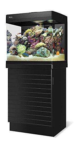 Réservoir du système de récif de poisson de la mer Rouge en noir (34gal)