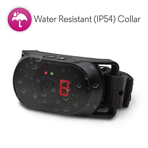 Motorola Pet SCOUTBARK100 No Bark Dog Collar with Warning Tone, Vibration and 9 Levels of Static Correction