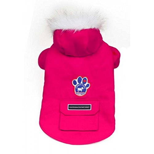 Canada Pooch 00374 Winter Wilderness Jacket (Pink, 18)