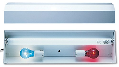 ZOO MED CH-48 combinaison du reptile (48 pouces)