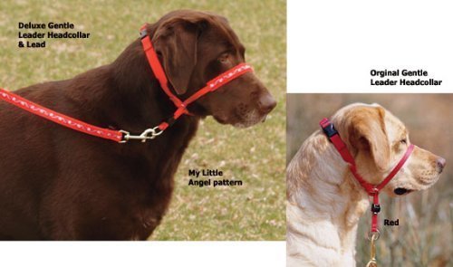 Gentle Leader Headcollar Deluxe Petite Baubles/Deep Purple (GL-Q-HC-P-BBL)