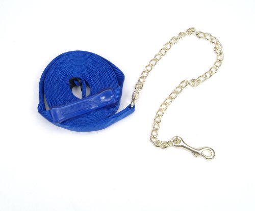 Coastalpet Lunge Chain with Grip (Blue)
