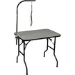 Precision Pet Pro Grooming Table with Access&Loop