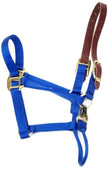 Accent Coastalpet 1 pouce Lalter pour les chevaux