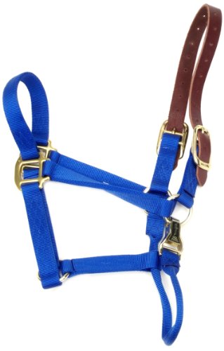 Coastalpet Accent 1-Inch Turnout Halter For Horses