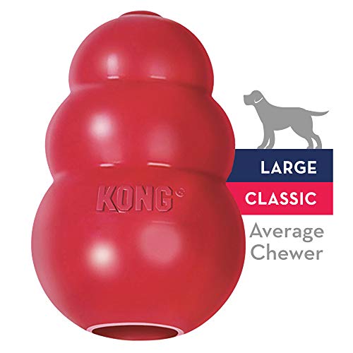 KONG Classic Dog Toy, Durable Natural Rubber- Fun to Chew, Chase & Fetch- For Medium Dogs