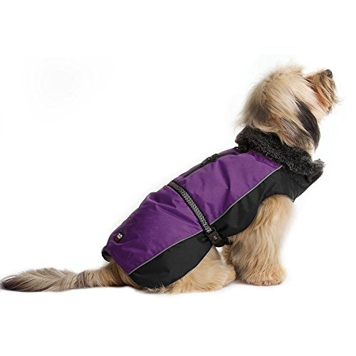 Dog Gone Smart Aspen Parka Purple Jacket For Dogs