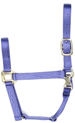Coastalpet Accent 1-Inch Deluxe Halter with Equi-Snap & Chin Adjustment (Paradise Purple, Yearling)