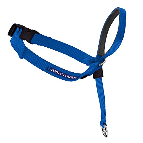 Premier Gentle Leader Head Dog Collar, Black, Small