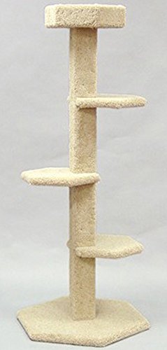North American Pet 49225 Chifty Big Pine Tree 64 pouces
