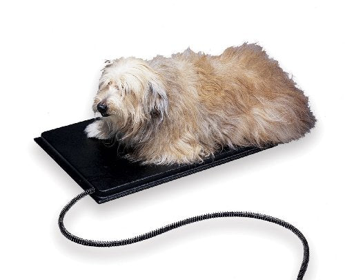 Allied Heated 23-Inch by 29-Inch Pet Mat, Large