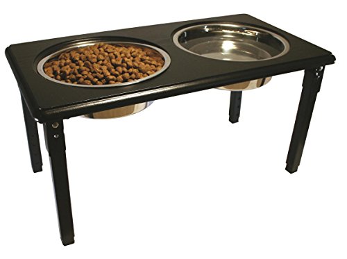 Ethical Products Posture-Pro Adjustable Double Diner, Black, 2-Quart