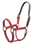 Coastalpet a gradué le licou premium avec Equi-Snap 3/4 pouces