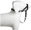 Halti Head Dog Halter Collur Taille: 1