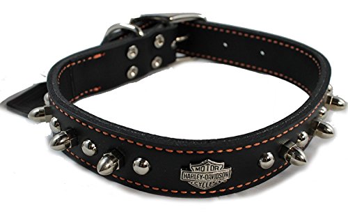 Harley-Davidson Leather à pointes cols de chien 1 "x 20"