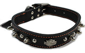 Harley-Davidson Leather à pointes cols de chien 1 