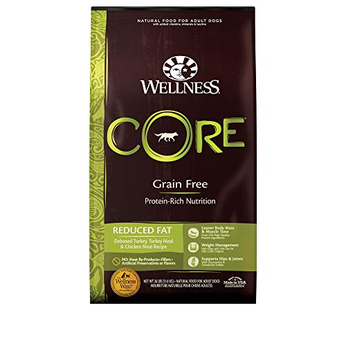 Wellness Core Natural Grain Free Dry Dog Aliments pour chiens
