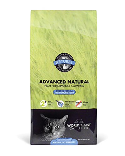 World's Best 41796 Advanced Natural Original Cat Litter 24LB