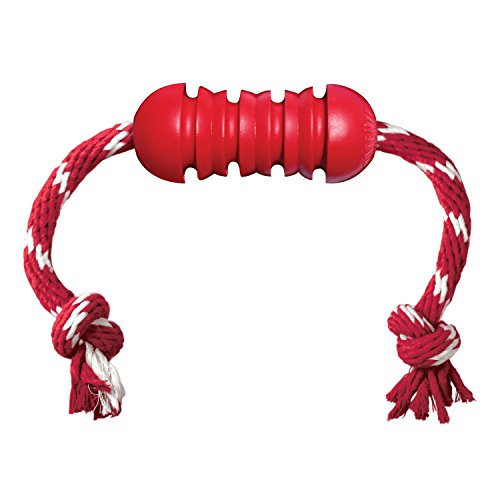 KONG Dental with Rope - Durable Rubber, Teeth and Gum Cleaning Dog Toy - For Medium Dogs