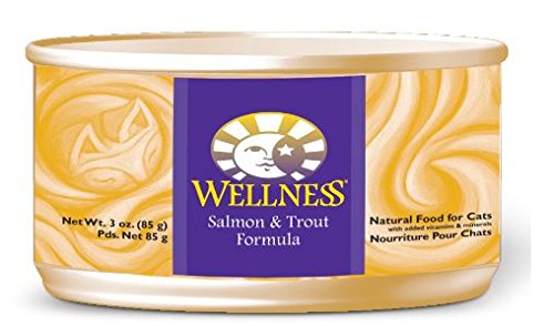 Bien-être en santé complète du saumon et de la truite de nourriture pour chats en conserve