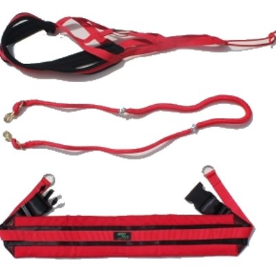Canadog Skijor Starter Kit Sport For One Dog