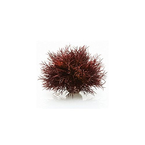 Reefone Biorb Sea Lily pour aquarium