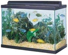 All Glass Aquarium AAG12304 Overflow System, 75-Gallon