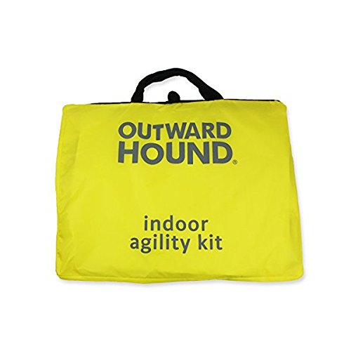 Kyjen 3017 Indoor Dog Agility Starter Kit with Dog Tunnel Weave Pole High Jump Obstacles, Large, Multicolor