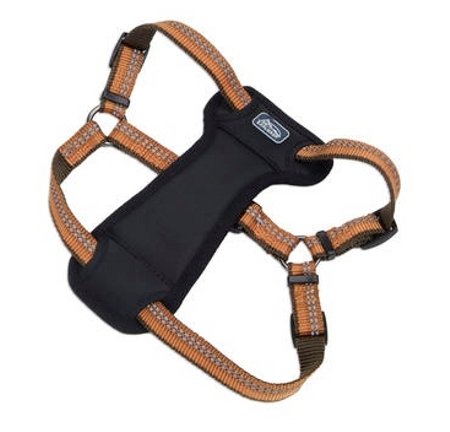 Harness d'explorateur de compagnie côtière K9 26-38X1