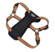 Harness d'explorateur de compagnie côtière K9 26-38X1